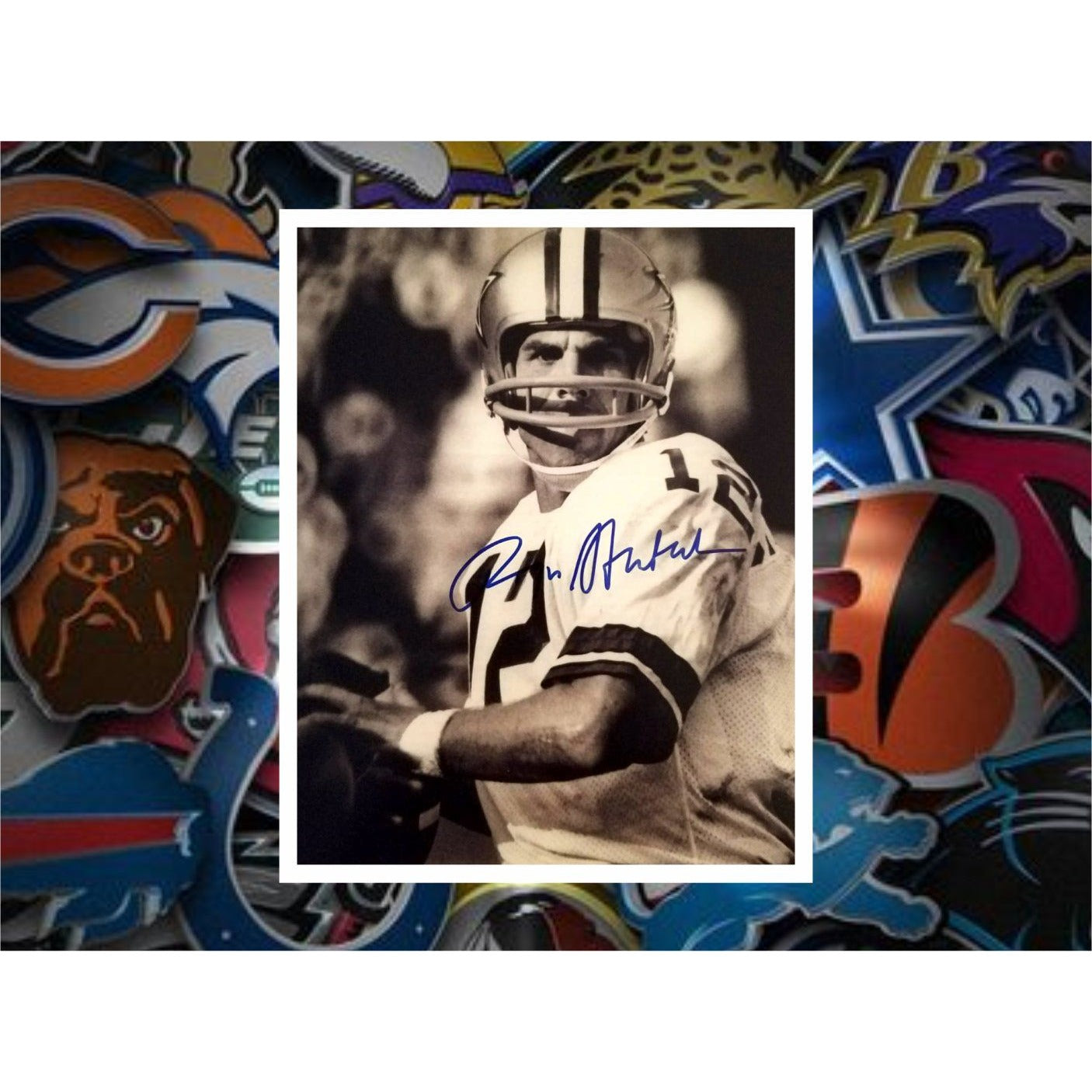 Roger Staubach Dallas Cowboys 8x10 photo sign with proof