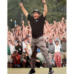 Load image into Gallery viewer, Phil Mickelson 8 x 10 signed photo with proof

