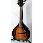 Load image into Gallery viewer, Alison Krauss &amp; Union Station Rogue mandolin signed
