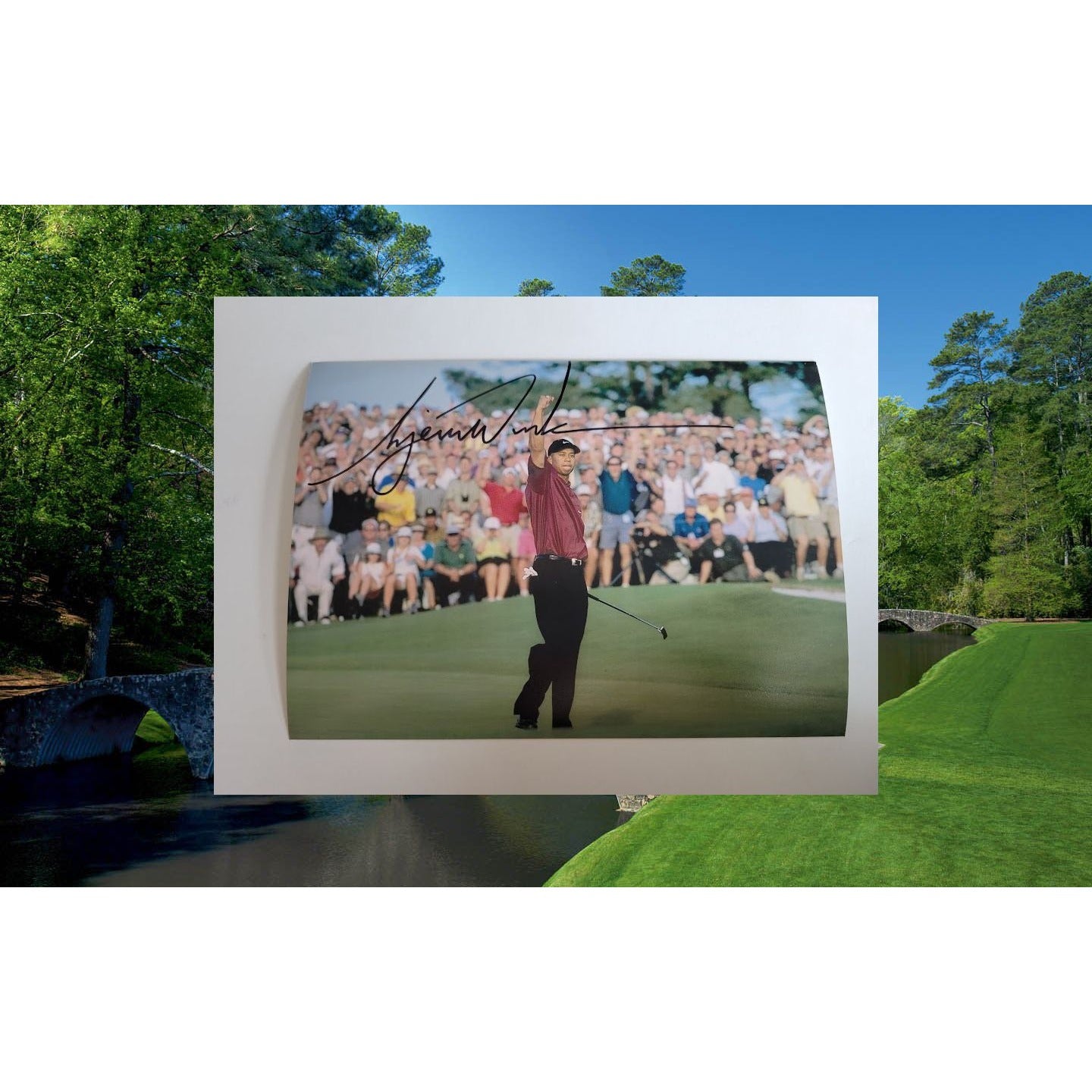 Tiger Woods 5 x 7 photograph signed
