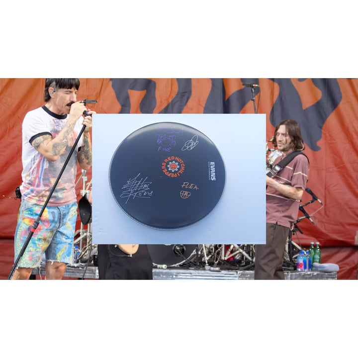 Red Hot Chili Peppers Anthony Kiedis flea Chad Smith John Frusciante 14 inch drum head sign with proof