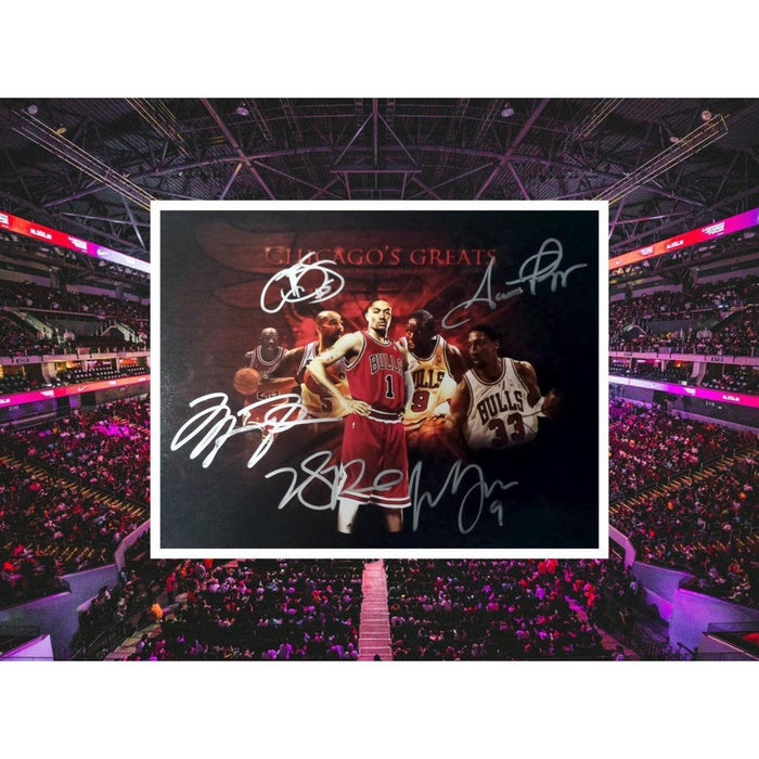 Michael Jordan Scottie Pippen Derrick Rose Luol Deng and Carlos Boozer 11 by 14 photo signed with proof