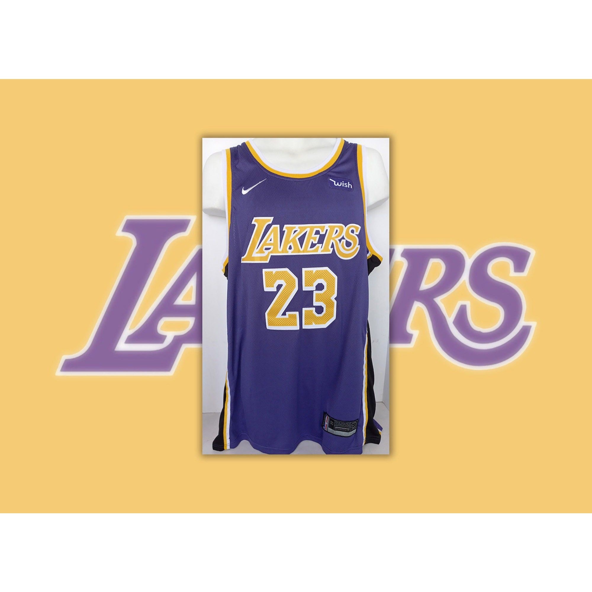 Lebron James Los Angeles Lakers Jersey #6 signed with proof