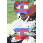 Load image into Gallery viewer, Phil Mickelson and Tiger Woods PGA golf pin flag signed with proof
