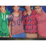 Load image into Gallery viewer, One Direction, Harry Styles, Zayn Malik, Niall Horan, Louis Tomlinson, Liam Payne 8 x 10 signed photo - Awesome Artifacts 
