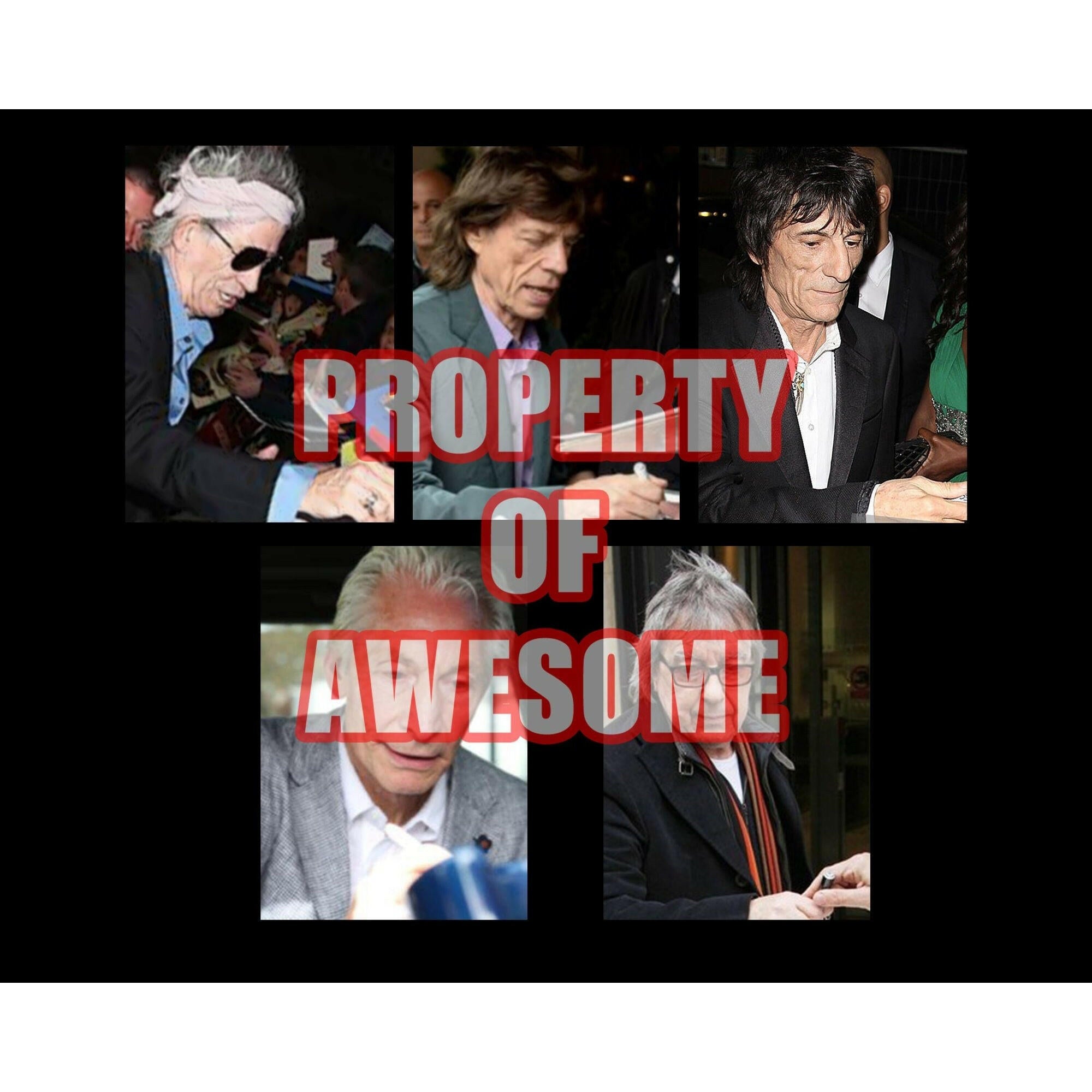 Bill Wyman Mick Jagger Keith Richards Ronnie Wood and Charlie Watts 14 inch drum head signed with proof