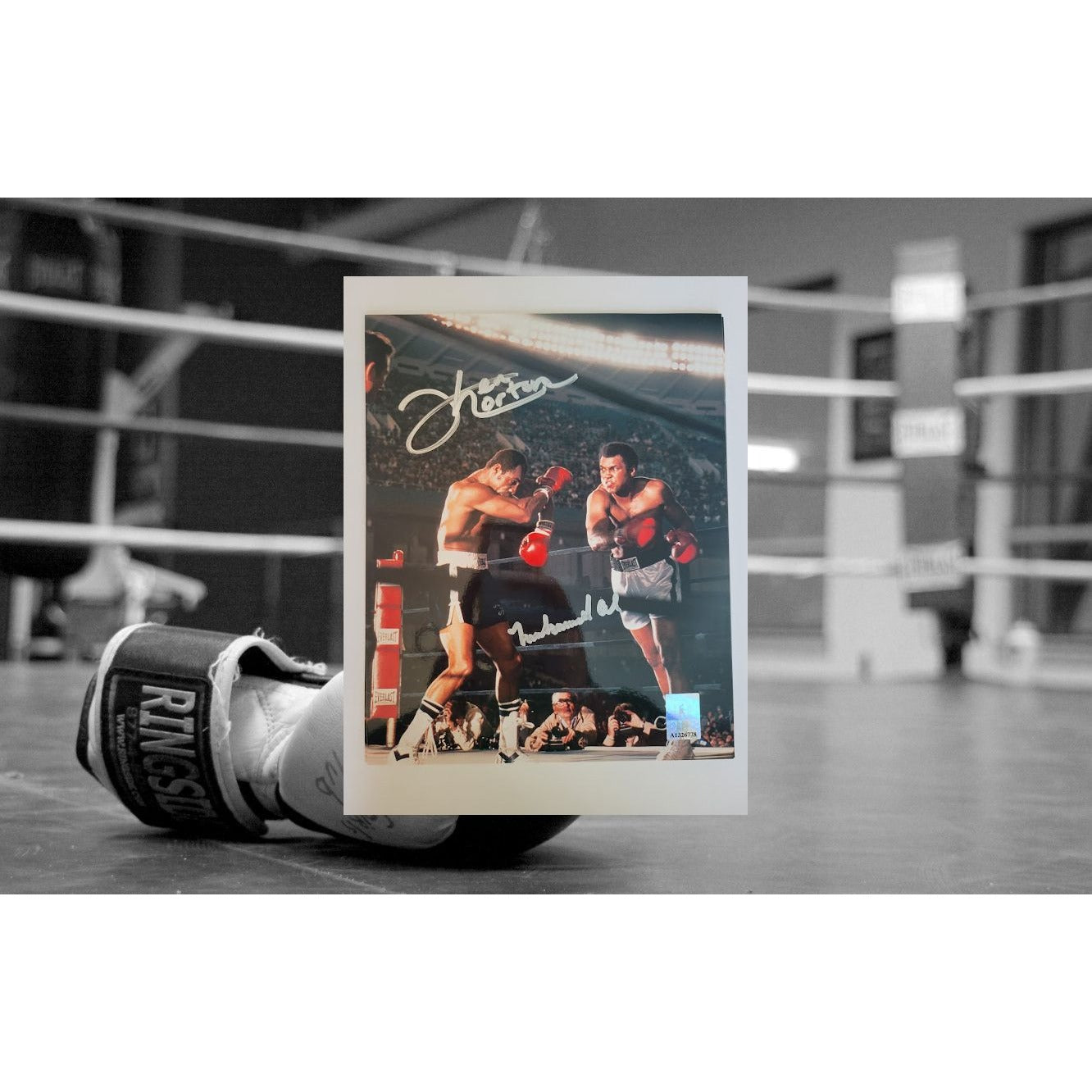 Ken Norton and Muhammad Ali 8 by 10 photo sign with proof