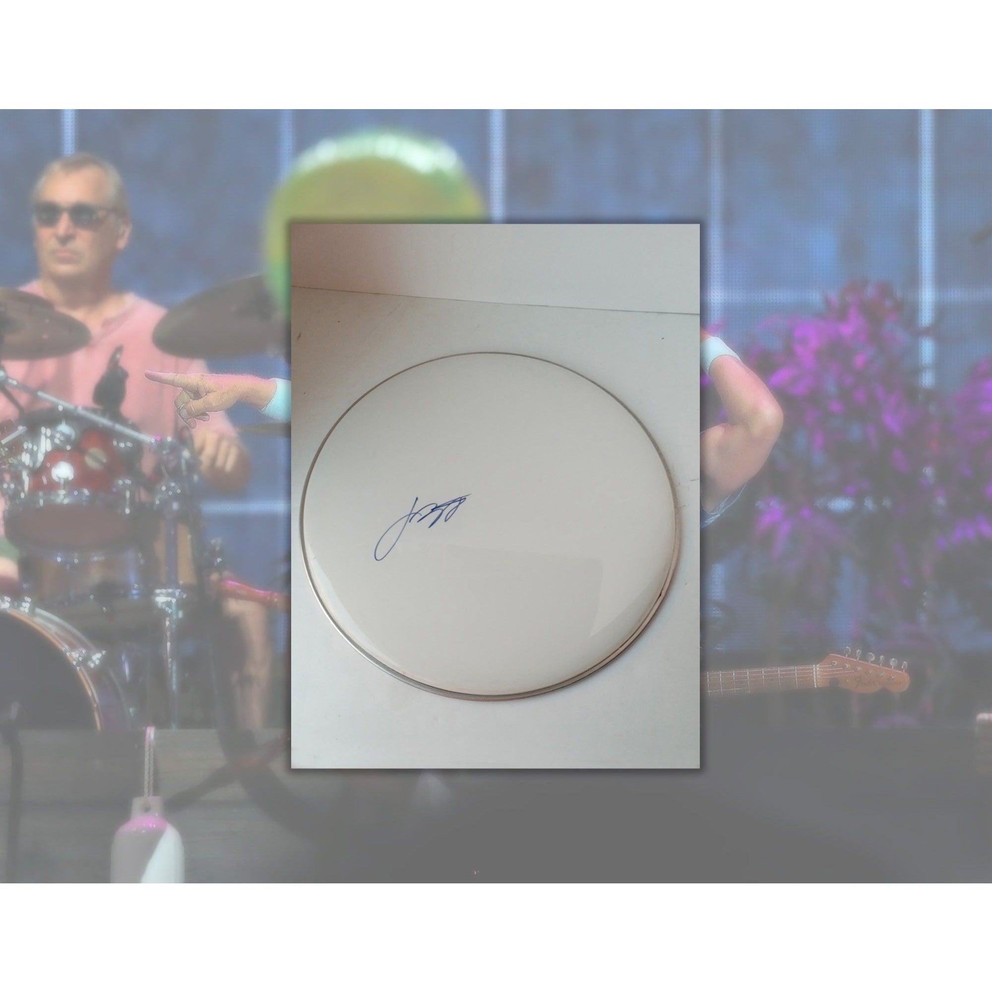 Jimmy Buffett 14in drum head signed with proof