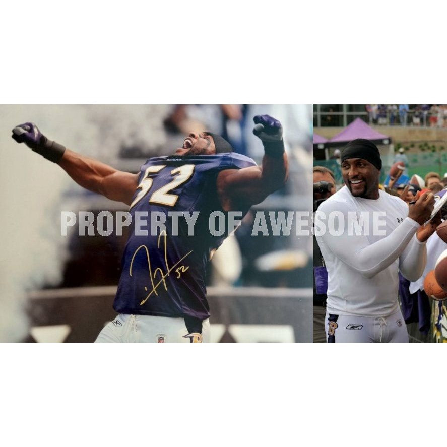 Ray Lewis Baltimore Ravens 16 x 20 photo signed