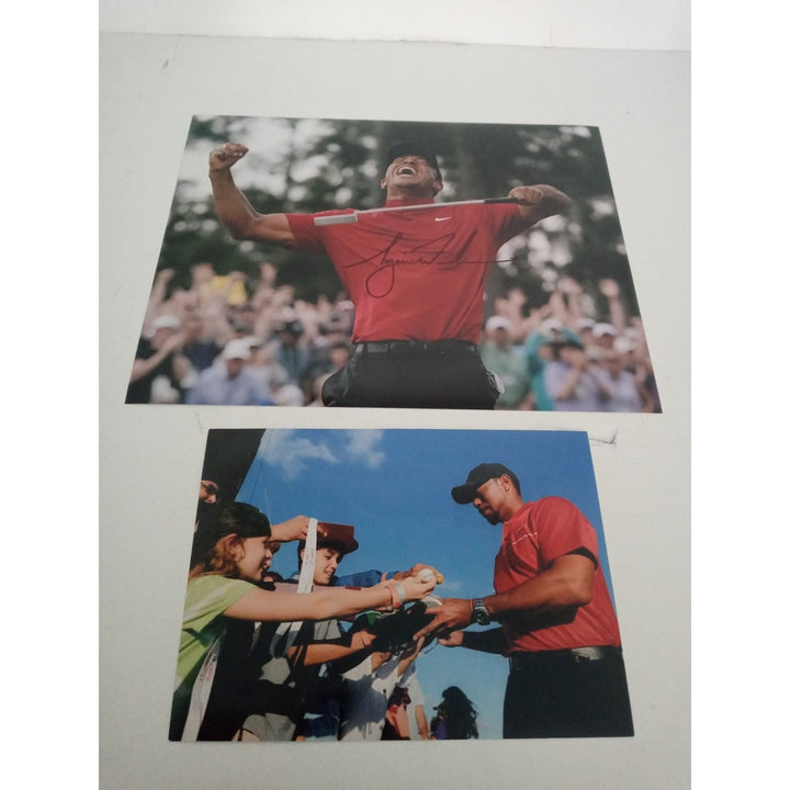 Tiger Woods 8 x 10 signed photo with proof - Awesome Artifacts 