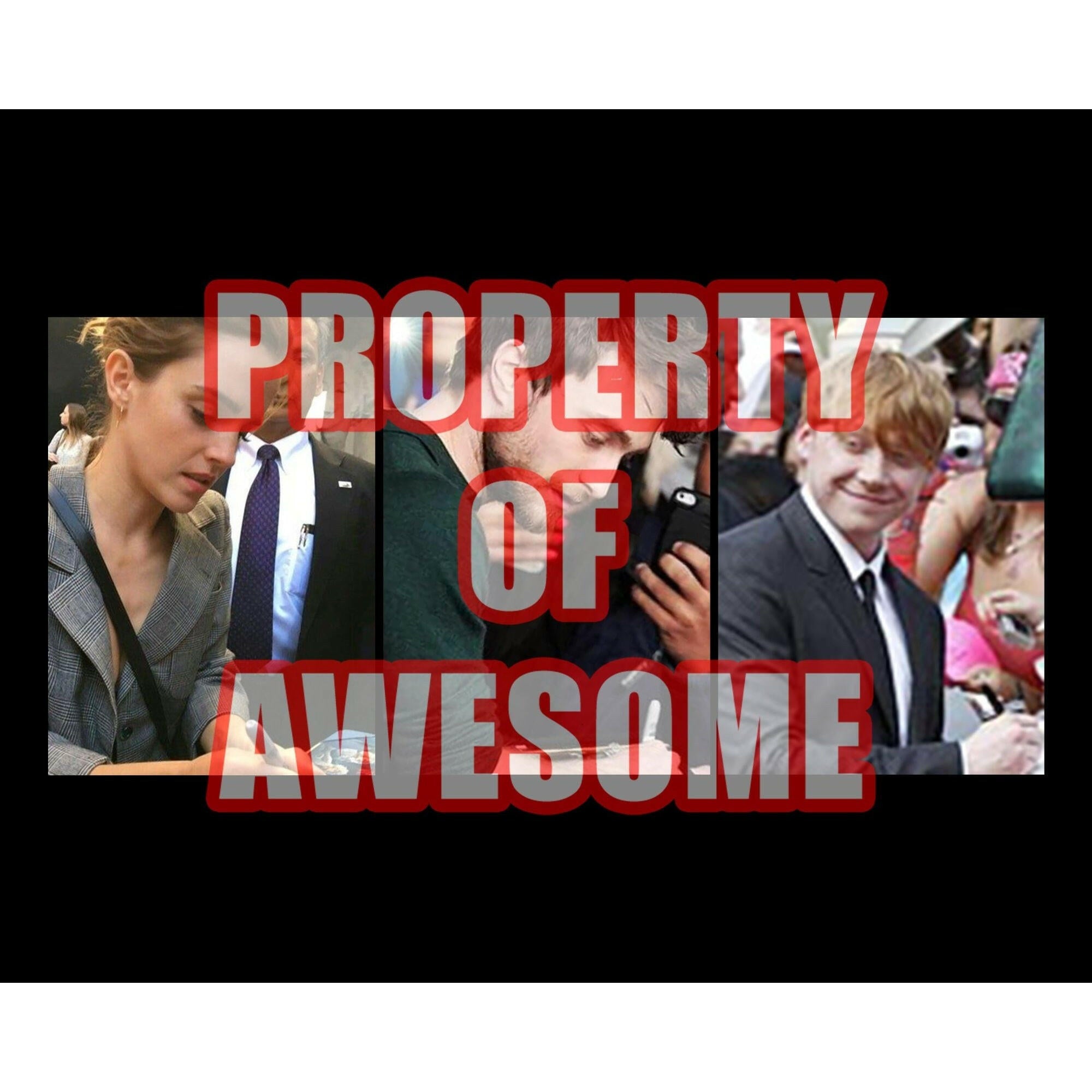 Harry Potter wand Daniel Radcliffe, Emma Watson and Rupert Grint signed with proof