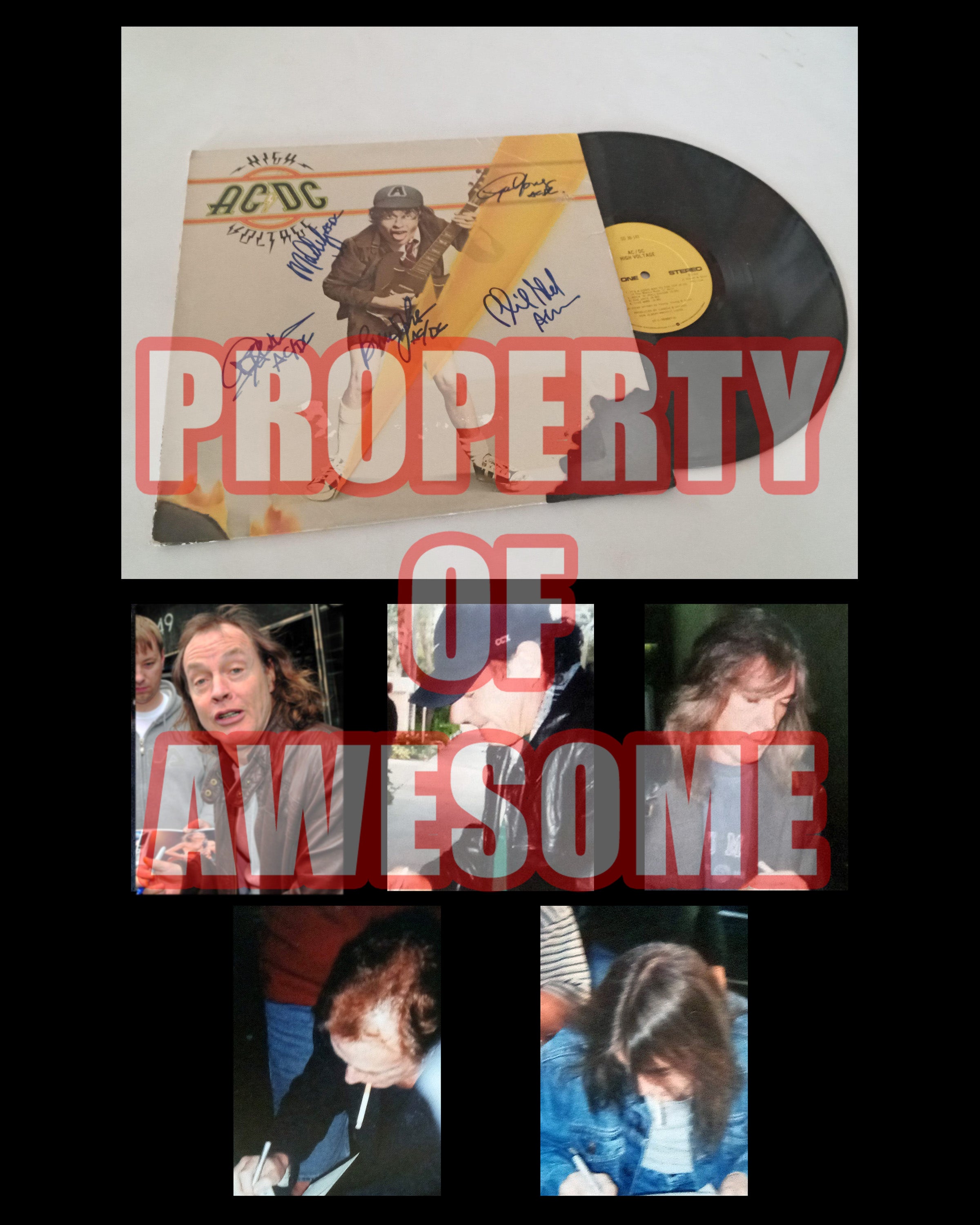 Angus Young, Malcolm Young, Brian Johnson, Phil Rudd, Cliff Williams, AC/DC LP signed with proof