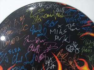 Jerry Cantrell, Eddie Vedder, Scott Weiland, David Grohl, Anthony Kiedis 10x10 drumhead 43 signaturess with proof
