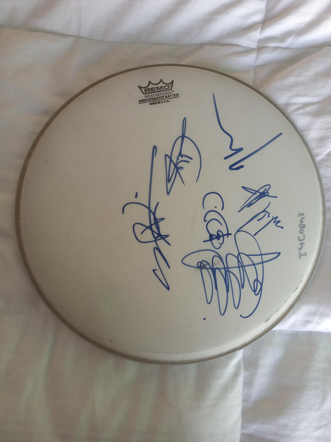 Incubus Remo 14in drum head signed with proof