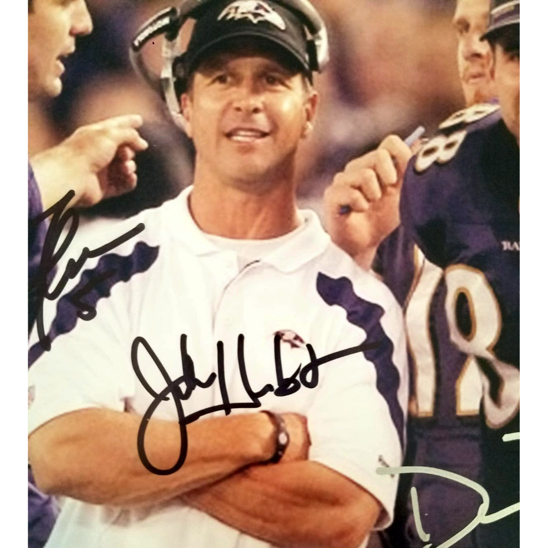 Baltimore Ravens John Harbaugh Joe Flacco Dennis Pitta 8x10 photo signed