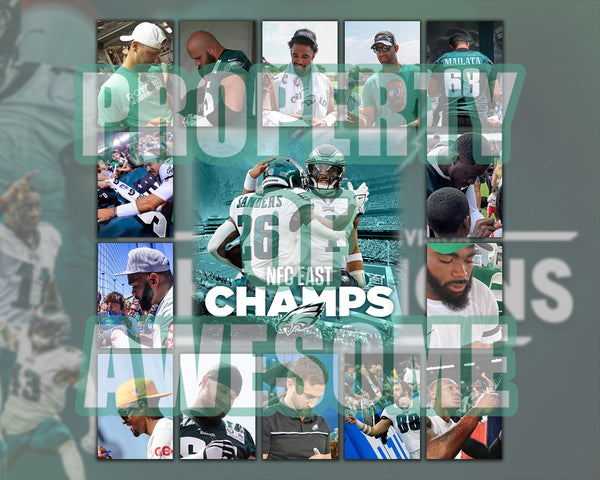 Philadelphia Eagles Replica 2022 NFC Championship Banner | 2022 NFC  Champions