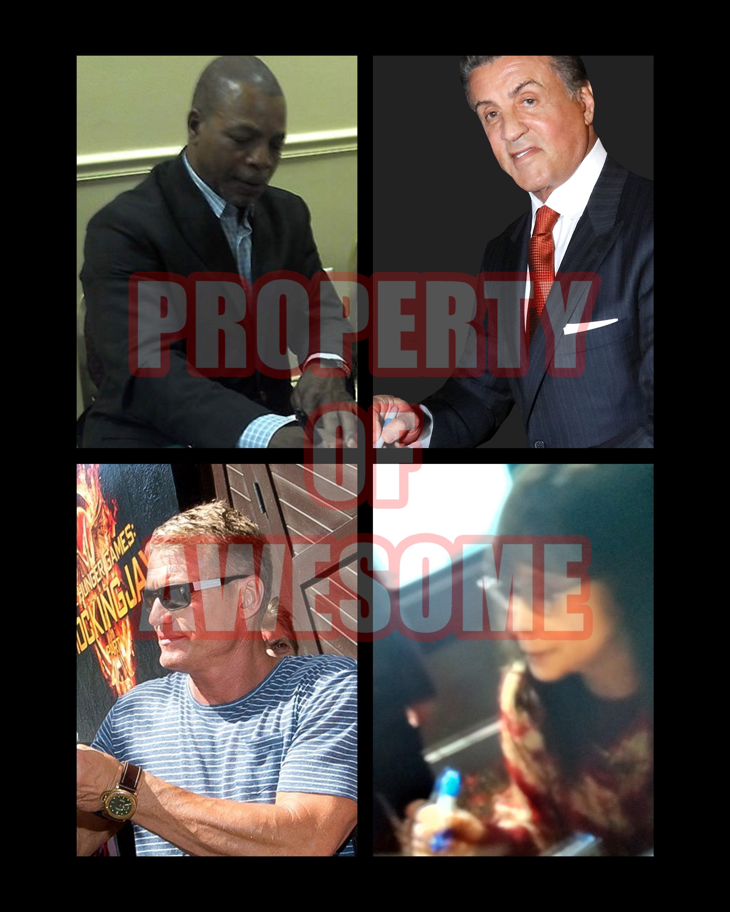 Sylvester Stallone, Talia Shire (Adrian), Carl Weathers (Apollo Creed), Dolph Lundgren (Ivan Drago) Rocky boxing signed with proof