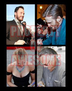 Chris Evans, Scarlett Johansson, Chris Hemsworth, Robert Downey Jr., Mark Ruffalo, 8x10 photo signed with proof