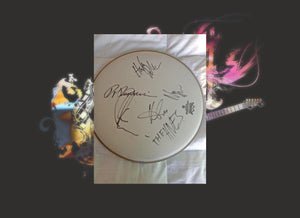The Hives 14-inch drumhead signed with proof