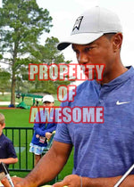 Load image into Gallery viewer, Tiger Woods Open 2000 16x20 photo signed with proof
