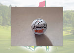 Load image into Gallery viewer, Tiger Woods vintage Wheaties golf ball signed with proof including free golf ball display case
