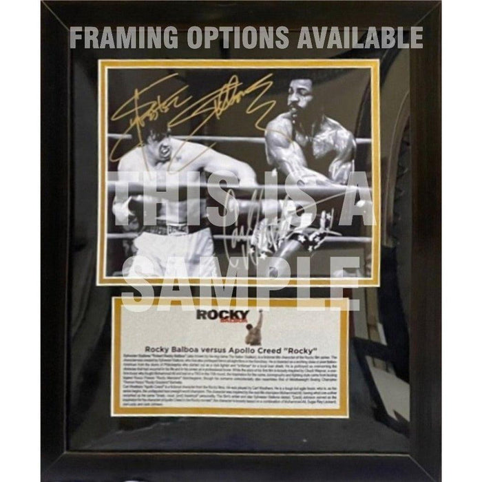 Certificate of Authenticity for Aaron Rodgers Green Bay Packers 2009-10 Super Bowl champions team signed poster signed with proof