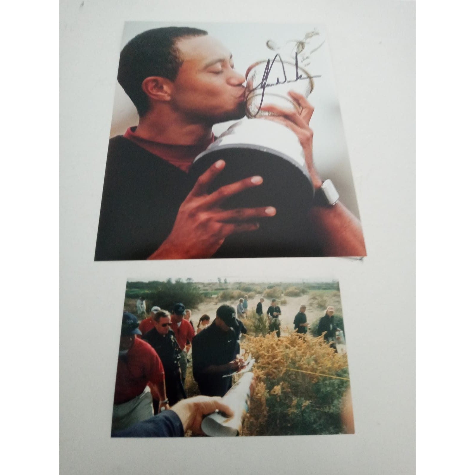 Tiger Woods 8 by 10 signed photo with proof