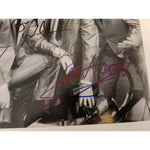 Load image into Gallery viewer, The Beach Boys Brian , Carl Wilson, Mike Love, Al Jardine, The Beach Boys 8x10 photo signed
