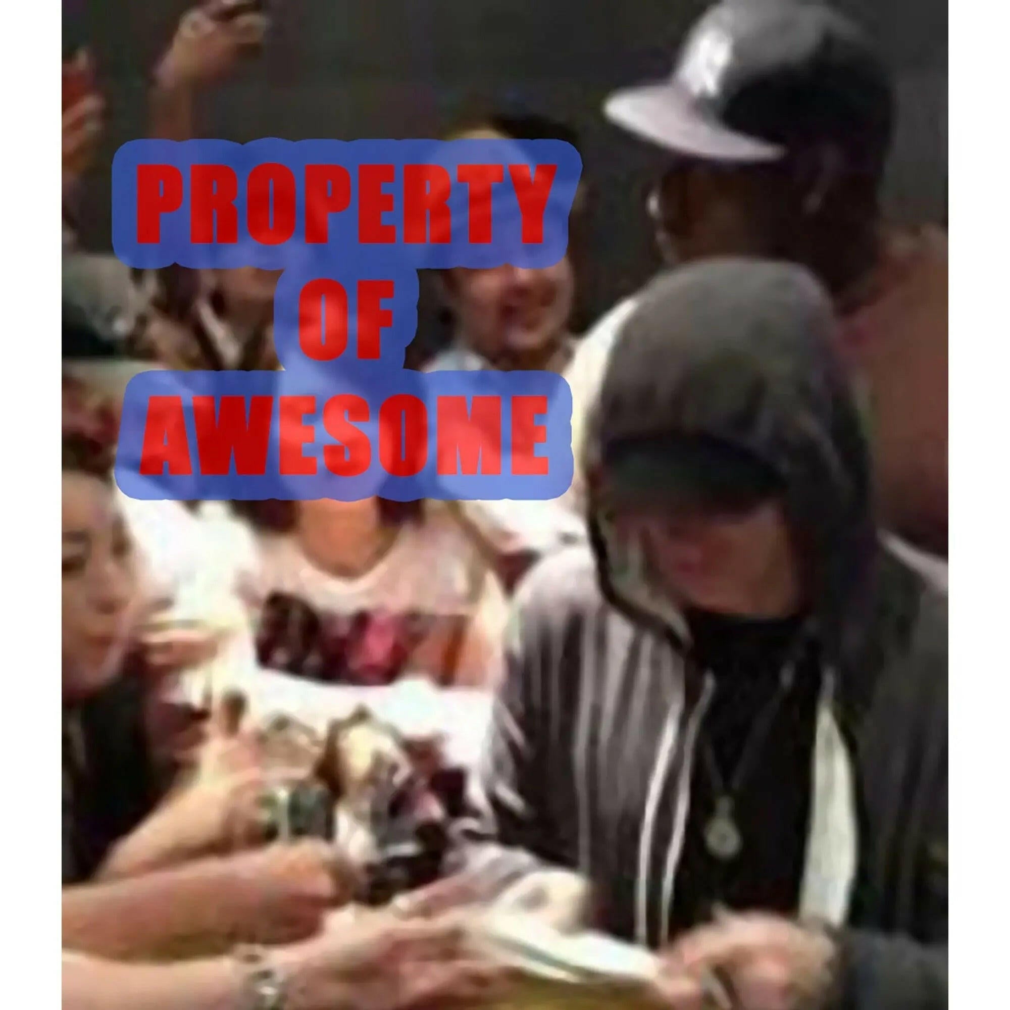 Marshall Mather's Eminem and Rick Rubin 8 by 10 signed photo with proof