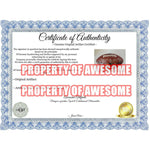 Load image into Gallery viewer, Drew Brees New Orleans Saints Super Bowl team signed football with proof

