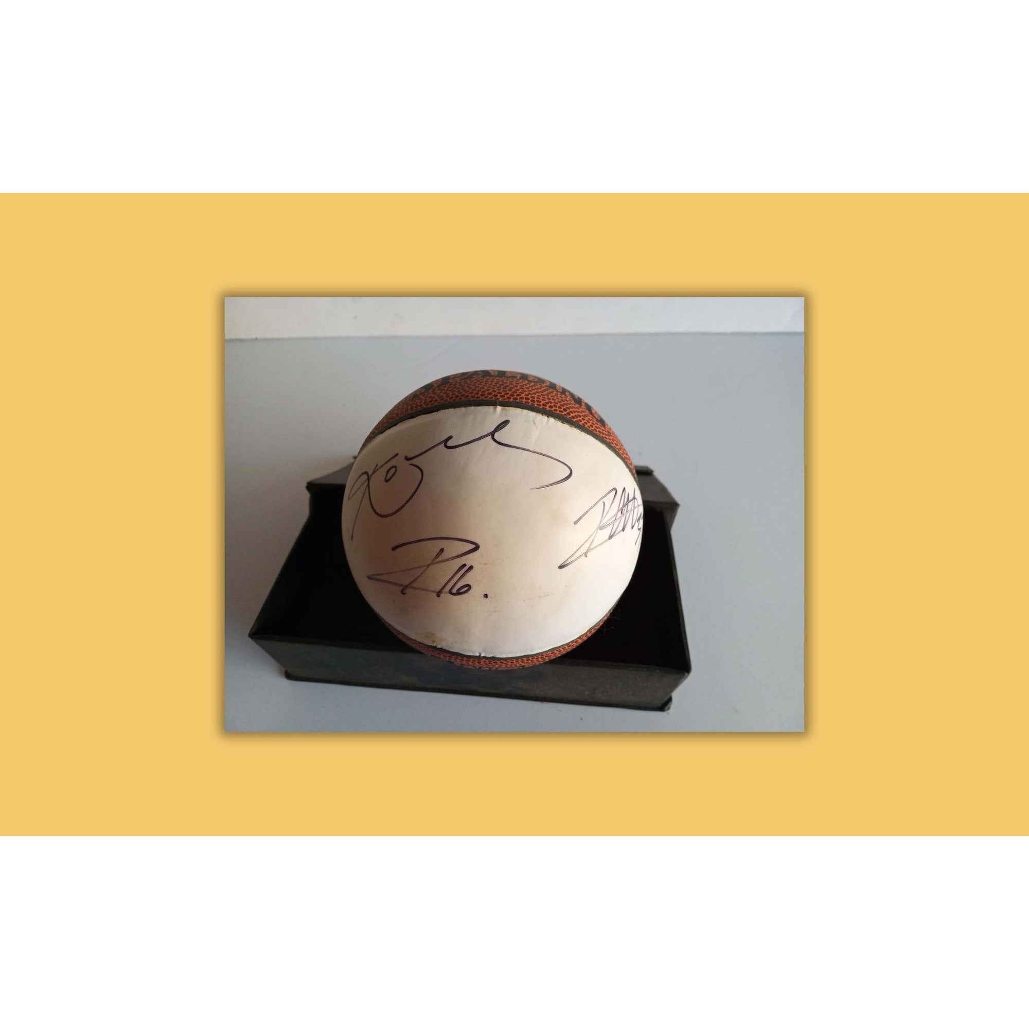 Kobe Bryant Ron Artest Pau Gasol Spalding mini basketball signed with proof