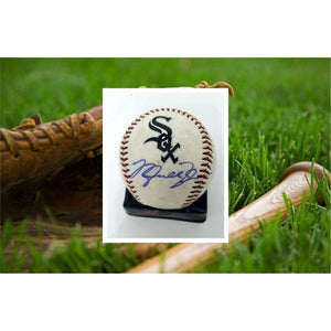 Michael Jordan Chicago White Sox official spring training baseball signed with proof with free case