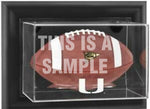 Load image into Gallery viewer, Jameis Winston Florida Seminoles national champions team signed full size football
