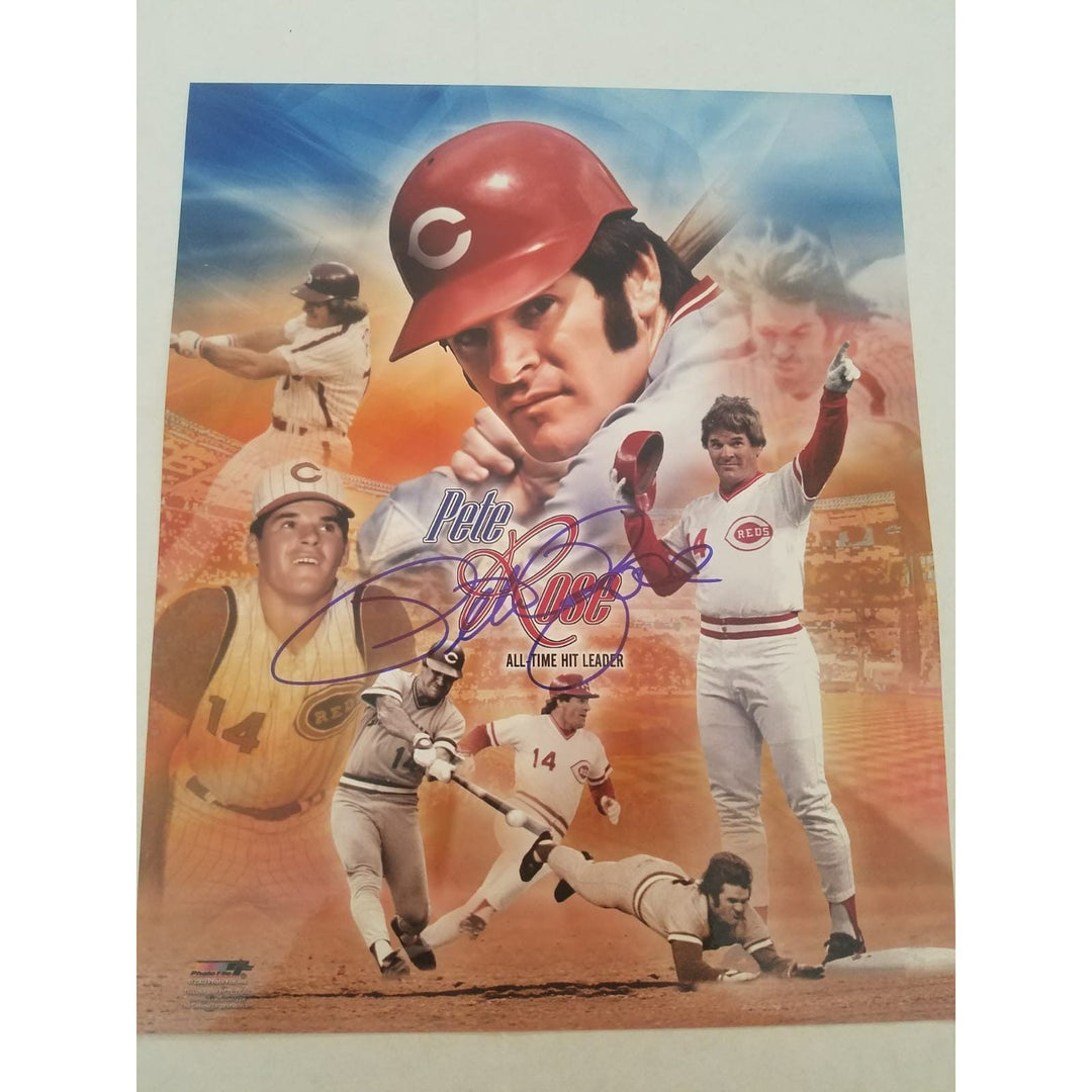 Pete Rose Cincinnati Reds 8 x 10 signed photo - Awesome Artifacts 