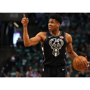 Giannis Antetokounmpo Milwaukee Bucks signed authentic jersey with proof