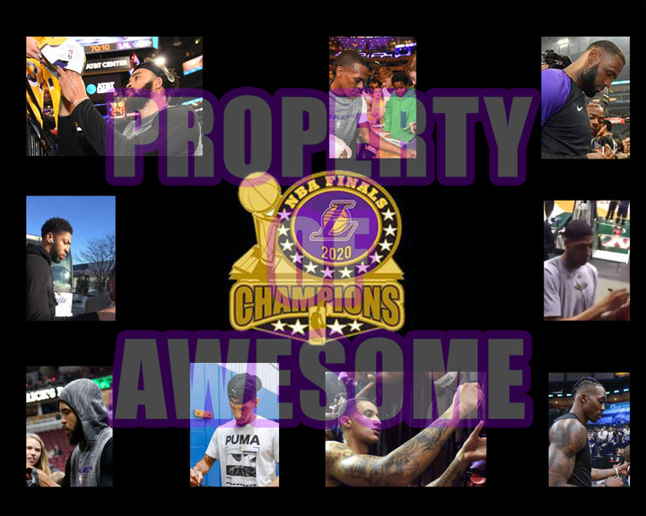 LeBron James, Anthony Davis, Los Angeles Lakers 2020 NBA champs 12x12 floorboard signed with proof - Awesome Artifacts 