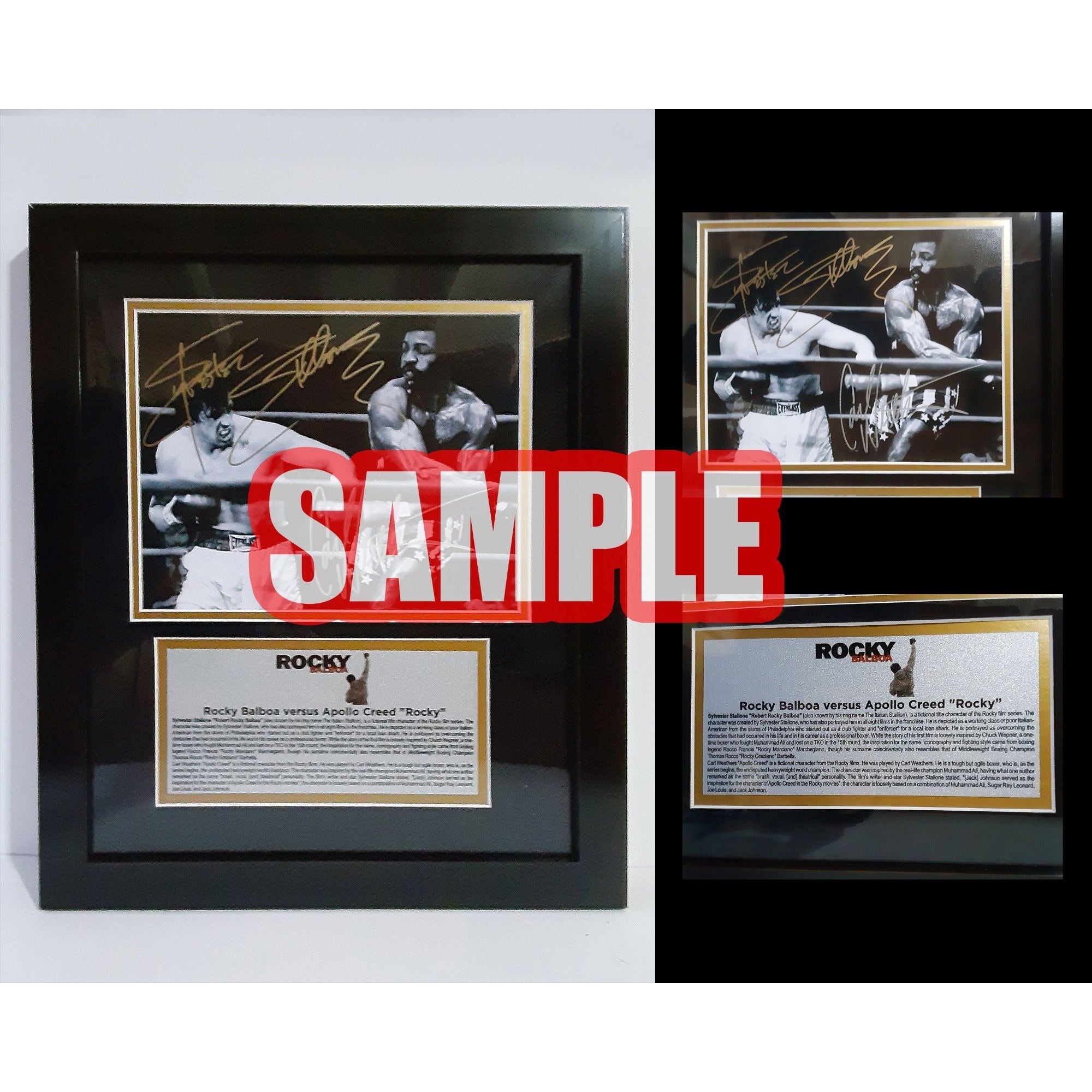 Ryne Sandberg, Bruce Sooter, Greg Maddux Chicago Cubs signed 8 by 10 photo signed with proof