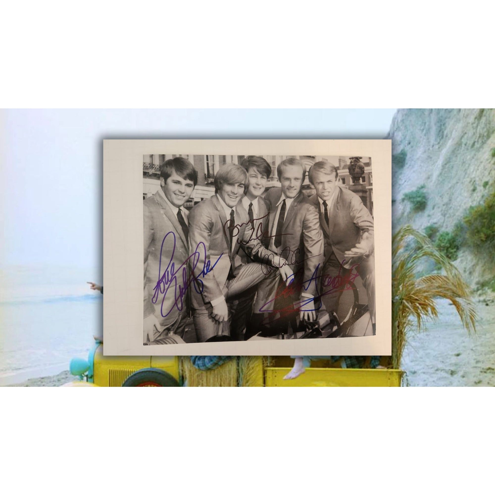 The Beach Boys Brian , Carl Wilson, Mike Love, Al Jardine, The Beach Boys 8x10 photo signed