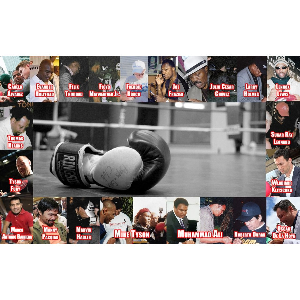 Muhammad Ali AKA Cassius Clay, Ingemar Johansson, Ken Norton, Jake LaMotta, Willie Pep, Sugar Ray Robinson, Jersey Joe Walcott boxing glove