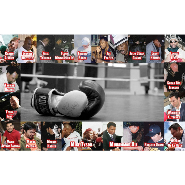 Muhammad Ali AKA Cassius Clay, Ingemar Johansson, Ken Norton, Jake LaMotta, Willie Pep, Sugar Ray Robinson, Jersey Joe Walcott boxing glove - Awesome Artifacts 