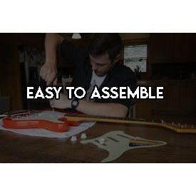 Certificate of Authenticity for Bob Dylan and Joan Baez electric guitar pickguard signed