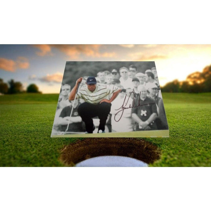 Tiger Woods 8 by 10 signed photo with proof