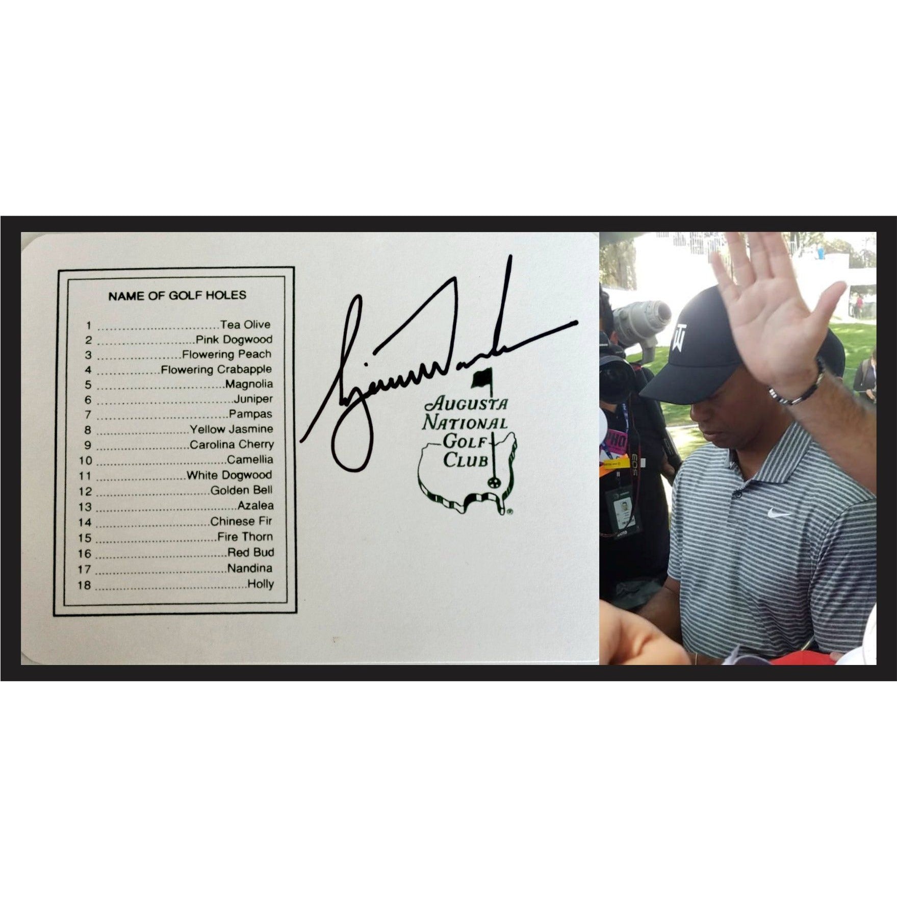 Tiger Woods Masters scorecard signed with proof
