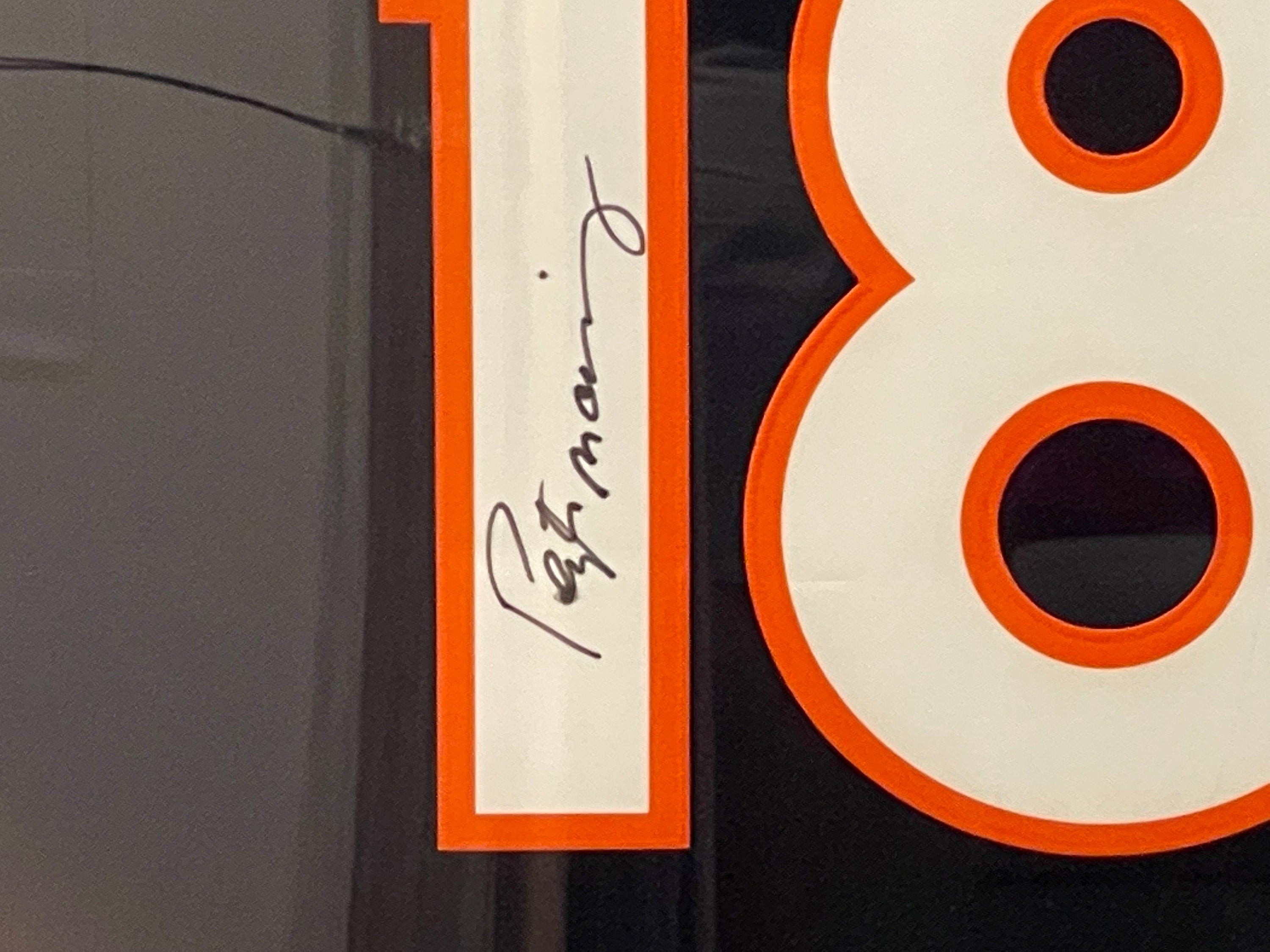 Peyton Manning SIGNED Pro Authentic Jersey Custom Framed