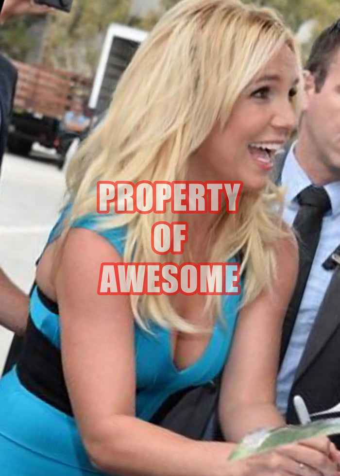 Certificate of Authenticity for Britney Spears "I'm a Slave 4 U" original LP signed with proof