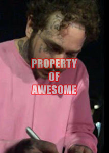Post Malone-Austin Richard Post signed microphone with proof